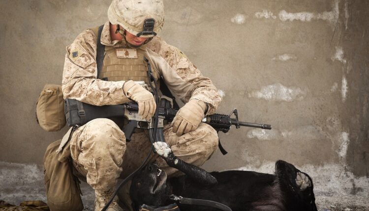 Soilder sits with dog in full camp holding gun