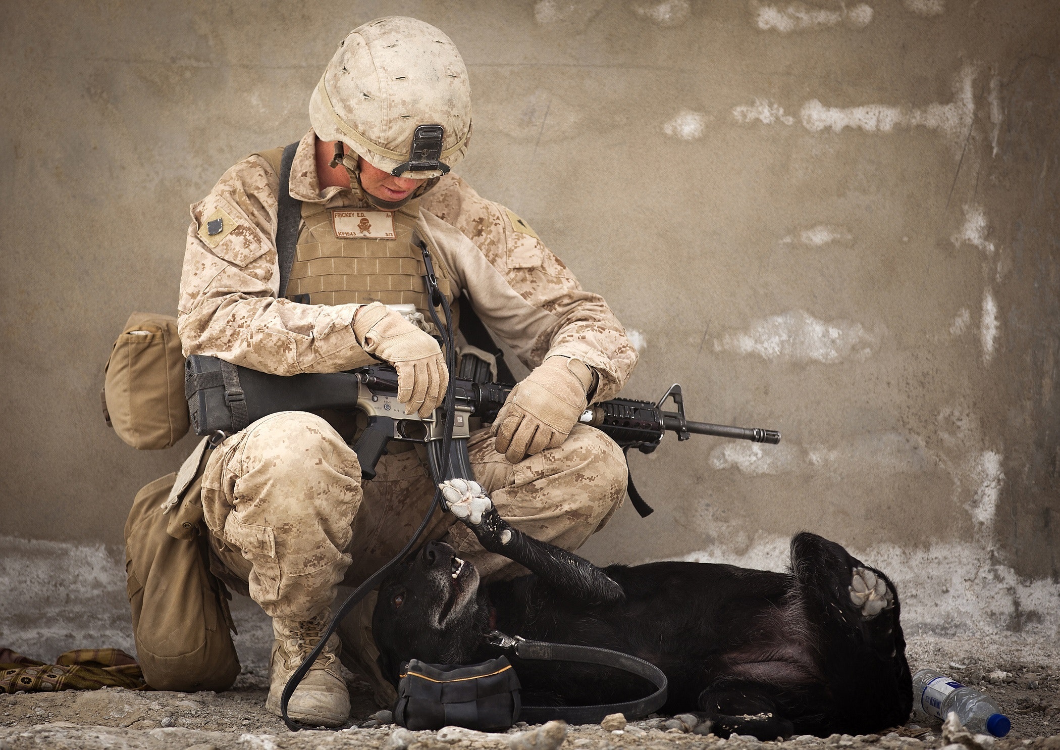 Soilder sits with dog in full camp holding gun