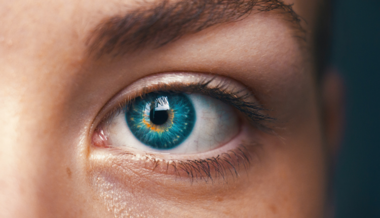 closeup of a blue eye mindcure funds psychedelic research