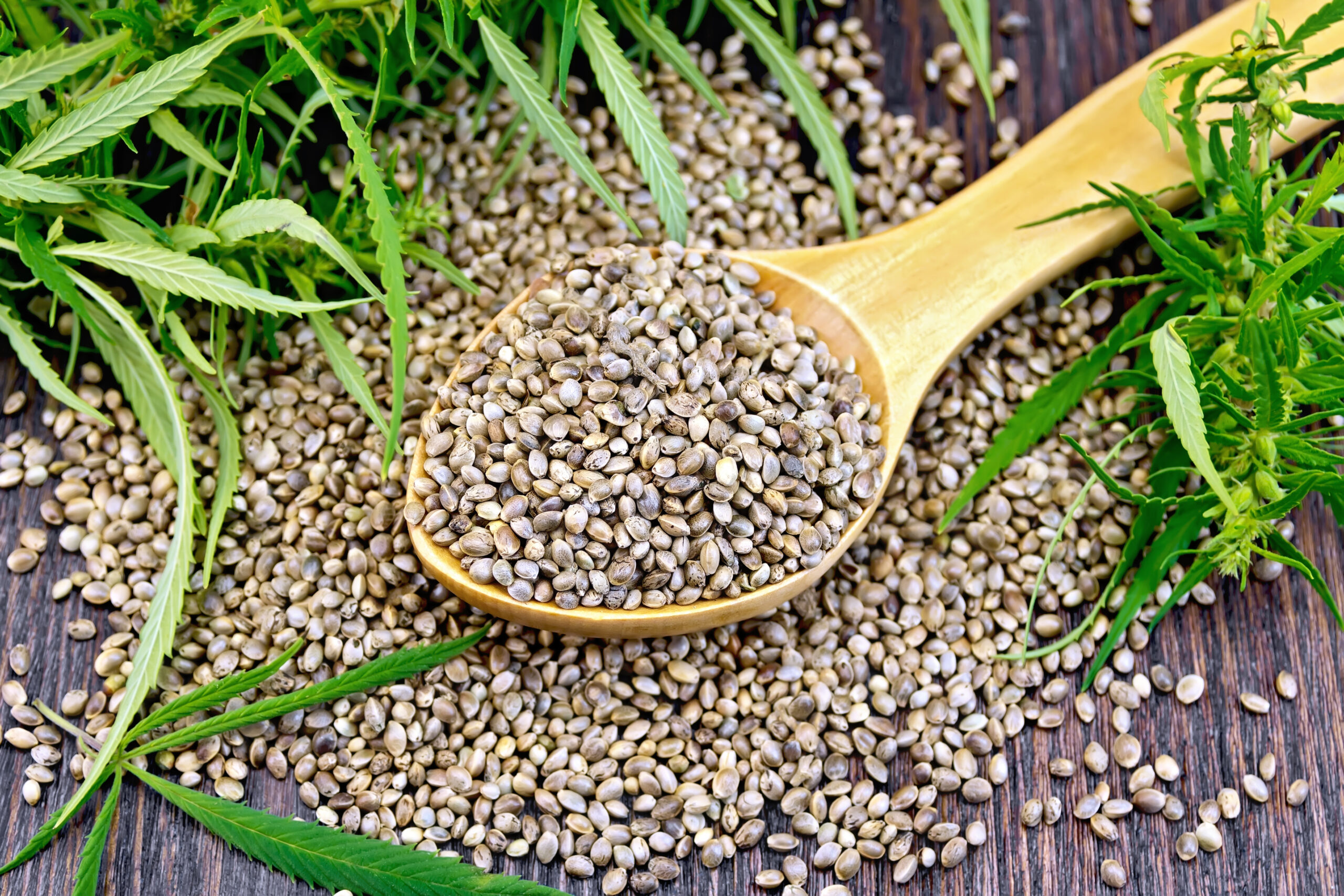 40 States Are Cracking Down on Hemp. Here’s Why