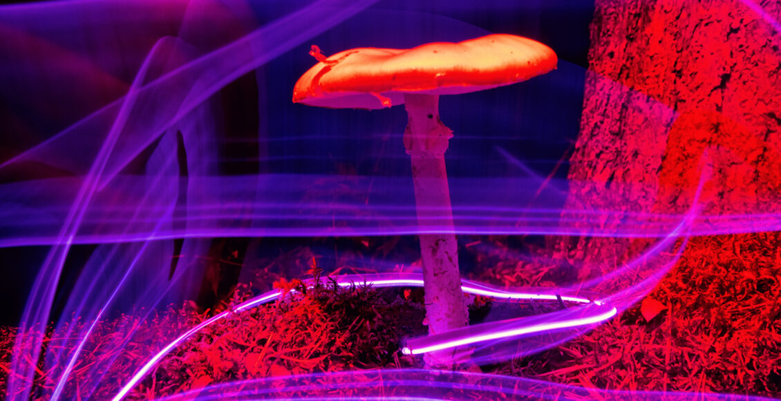 psychedelic stock