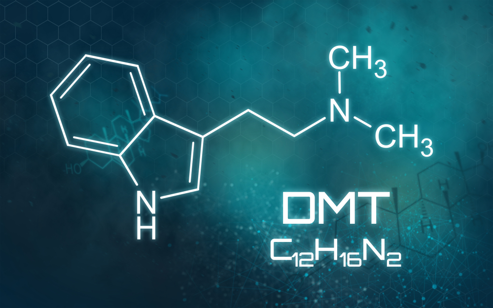 DMT Stock