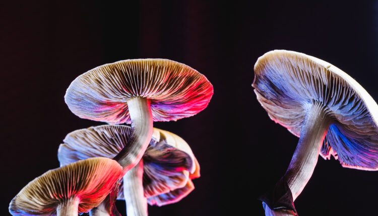 psychedelic stock