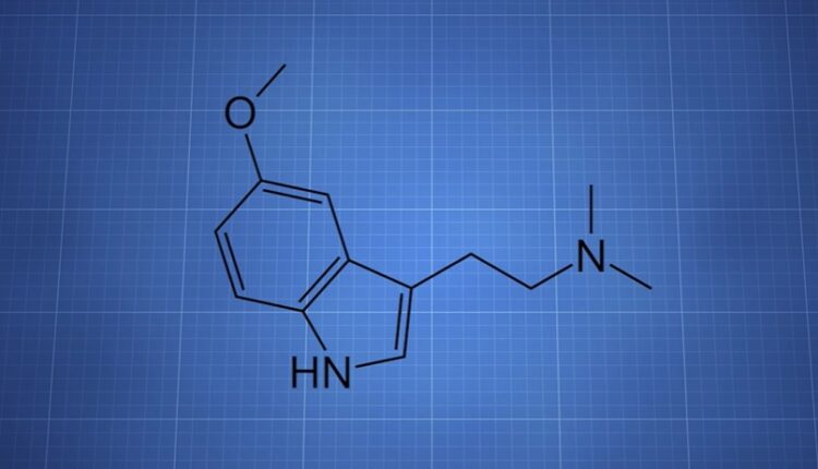 mindset-pharma-ending-2021-on-a-strong-note-the-dales-report