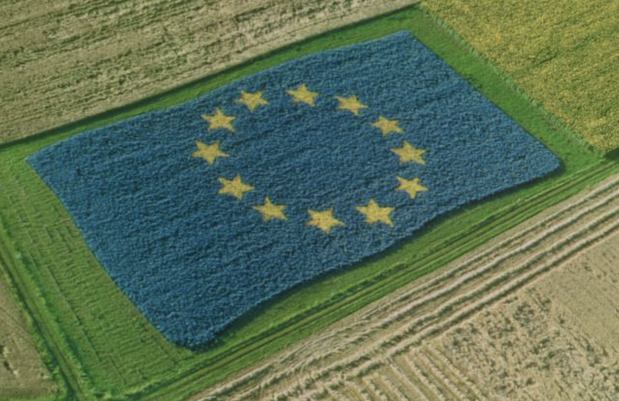 EU psychedelic trial