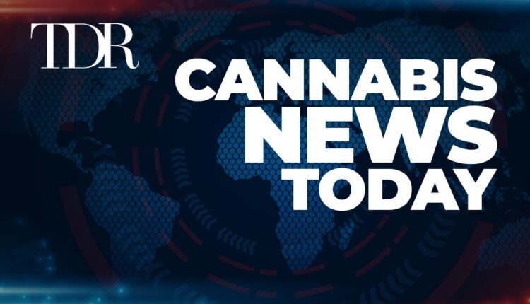 Cannabis News Today